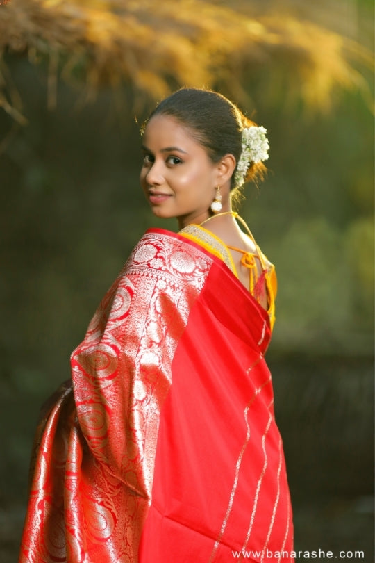 maroon with Golden Zari Leaves Art Handloom Katan Pure Silk Saree