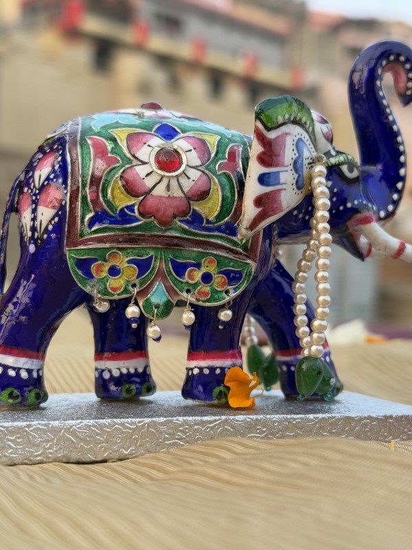 rajvaadi haathi | elephant | rajsthani haathi | M